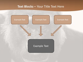A Gorilla Wearing A Suit And Tie With A Brown Background PowerPoint Template