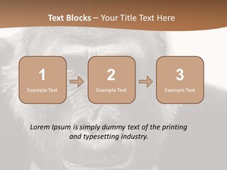 A Gorilla Wearing A Suit And Tie With A Brown Background PowerPoint Template