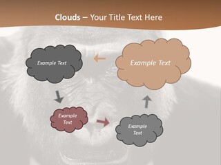 A Gorilla Wearing A Suit And Tie With A Brown Background PowerPoint Template