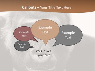 A Gorilla Wearing A Suit And Tie With A Brown Background PowerPoint Template