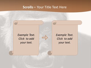 A Gorilla Wearing A Suit And Tie With A Brown Background PowerPoint Template