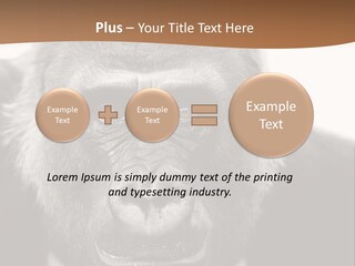 A Gorilla Wearing A Suit And Tie With A Brown Background PowerPoint Template