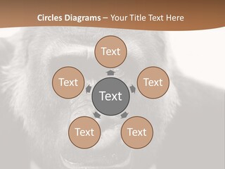 A Gorilla Wearing A Suit And Tie With A Brown Background PowerPoint Template