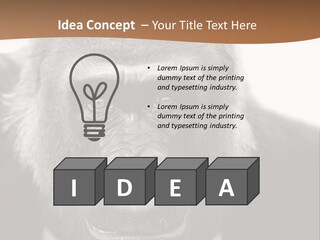 A Gorilla Wearing A Suit And Tie With A Brown Background PowerPoint Template