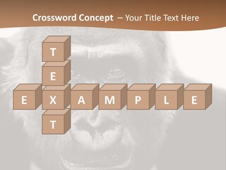 A Gorilla Wearing A Suit And Tie With A Brown Background PowerPoint Template
