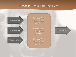 A Gorilla Wearing A Suit And Tie With A Brown Background PowerPoint Template