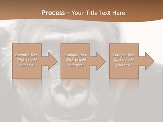 A Gorilla Wearing A Suit And Tie With A Brown Background PowerPoint Template