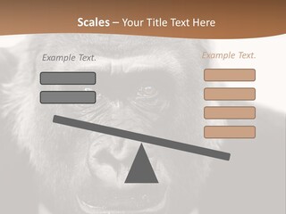 A Gorilla Wearing A Suit And Tie With A Brown Background PowerPoint Template