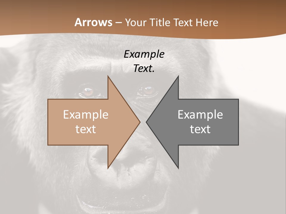 A Gorilla Wearing A Suit And Tie With A Brown Background PowerPoint Template