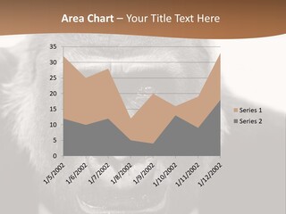 A Gorilla Wearing A Suit And Tie With A Brown Background PowerPoint Template