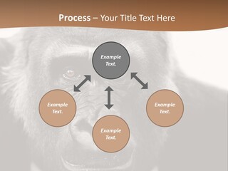 A Gorilla Wearing A Suit And Tie With A Brown Background PowerPoint Template