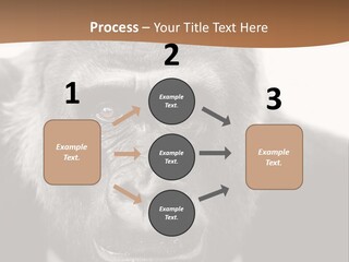 A Gorilla Wearing A Suit And Tie With A Brown Background PowerPoint Template