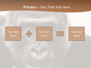 A Gorilla Wearing A Suit And Tie With A Brown Background PowerPoint Template