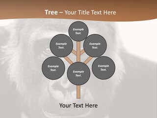 A Gorilla Wearing A Suit And Tie With A Brown Background PowerPoint Template