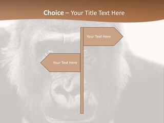 A Gorilla Wearing A Suit And Tie With A Brown Background PowerPoint Template