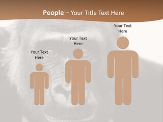 A Gorilla Wearing A Suit And Tie With A Brown Background PowerPoint Template