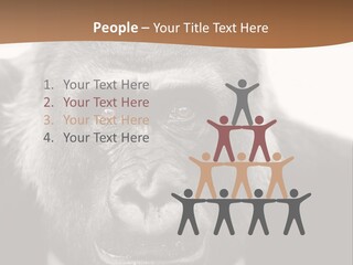 A Gorilla Wearing A Suit And Tie With A Brown Background PowerPoint Template