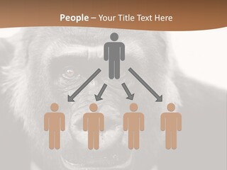 A Gorilla Wearing A Suit And Tie With A Brown Background PowerPoint Template