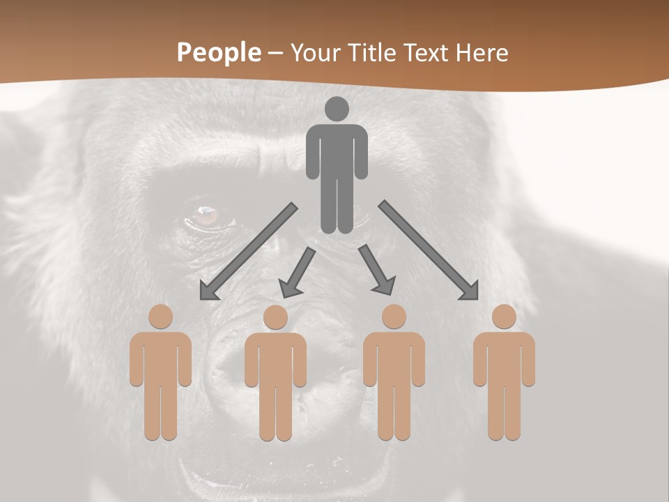 A Gorilla Wearing A Suit And Tie With A Brown Background PowerPoint Template