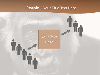 A Gorilla Wearing A Suit And Tie With A Brown Background PowerPoint Template
