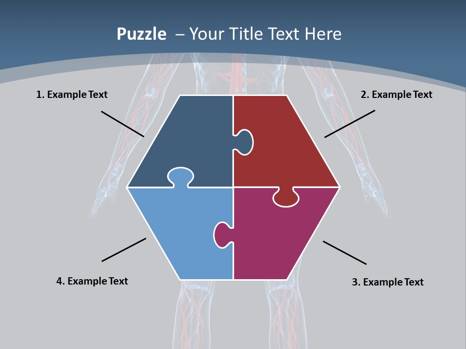 A Human Body With The Nervous System Powerpoint Presentation PowerPoint Template