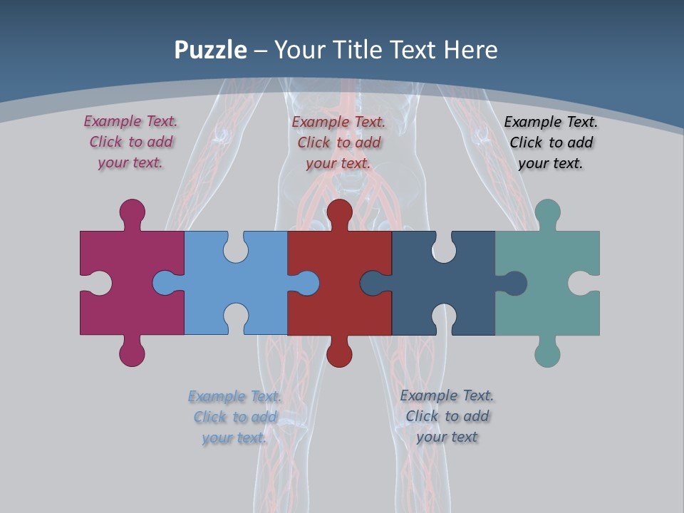 A Human Body With The Nervous System Powerpoint Presentation PowerPoint Template