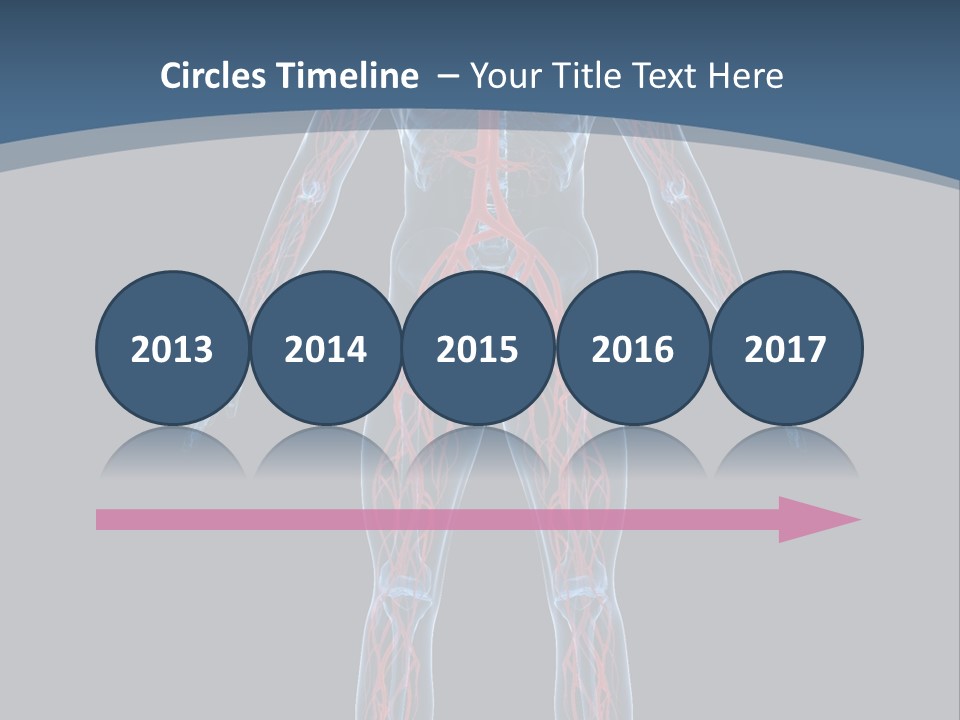 A Human Body With The Nervous System Powerpoint Presentation PowerPoint Template