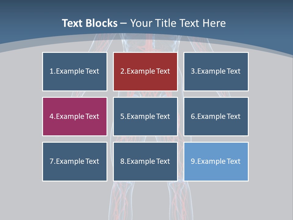 A Human Body With The Nervous System Powerpoint Presentation PowerPoint Template