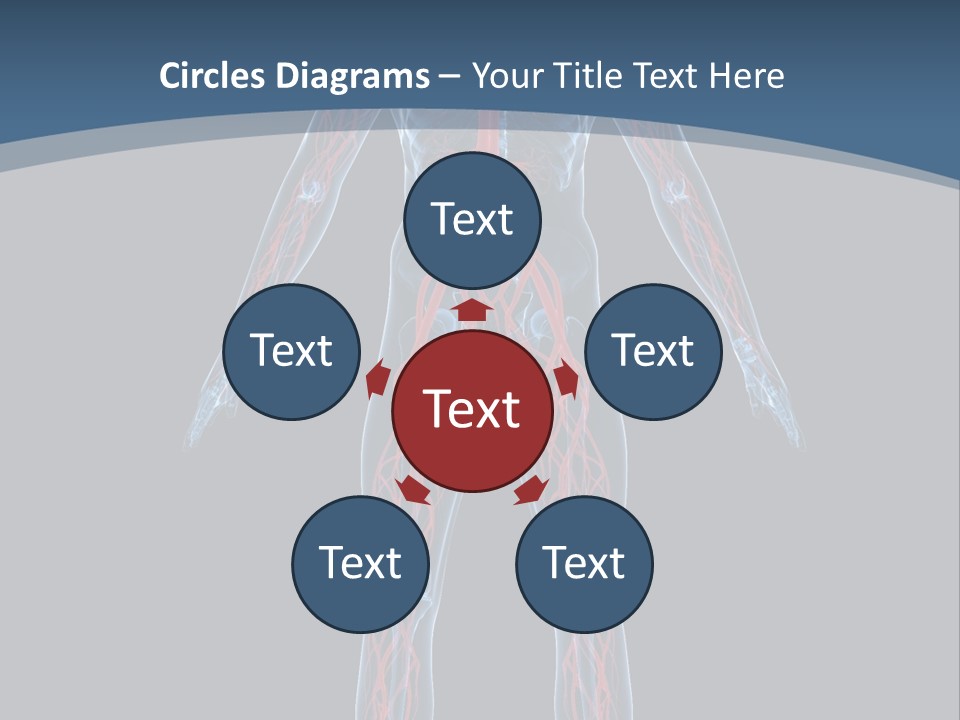 A Human Body With The Nervous System Powerpoint Presentation PowerPoint Template