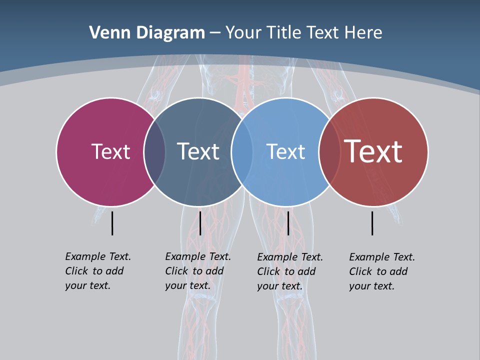 A Human Body With The Nervous System Powerpoint Presentation PowerPoint Template