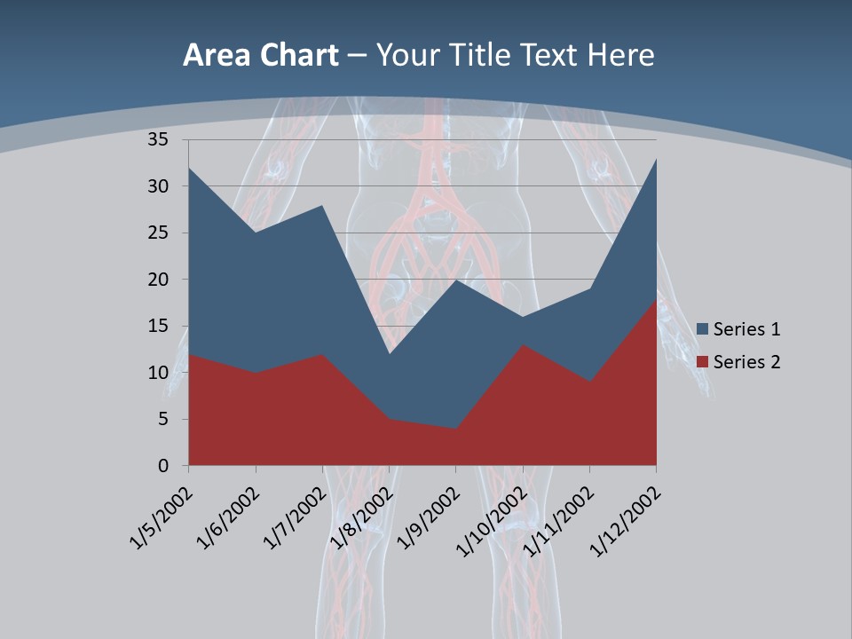 A Human Body With The Nervous System Powerpoint Presentation PowerPoint Template