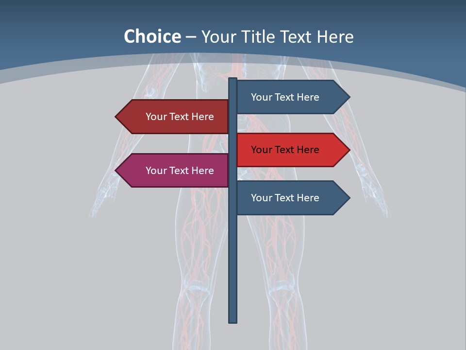 A Human Body With The Nervous System Powerpoint Presentation PowerPoint Template
