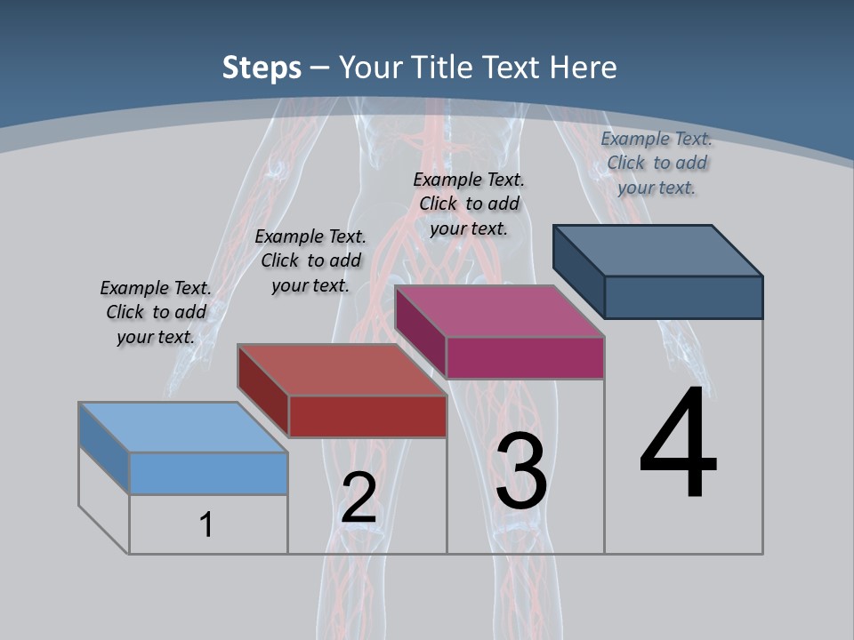 A Human Body With The Nervous System Powerpoint Presentation PowerPoint Template