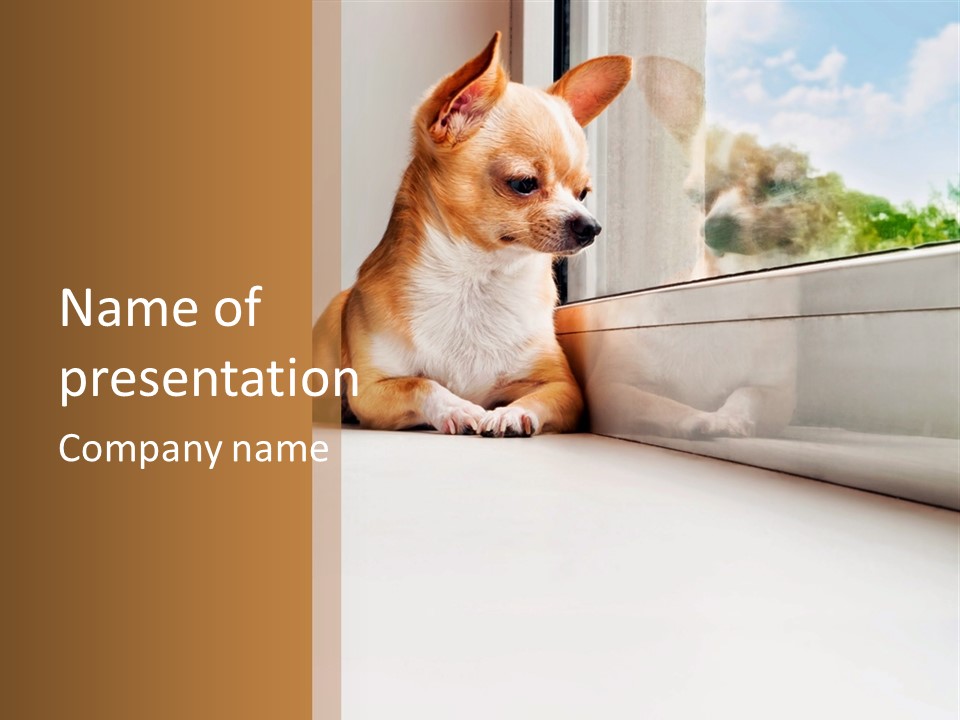 A Small Dog Is Looking Out Of A Window PowerPoint Template