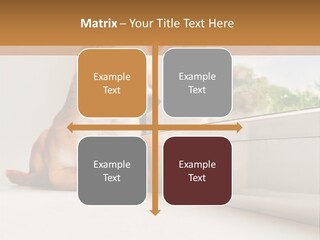 A Small Dog Is Looking Out Of A Window PowerPoint Template