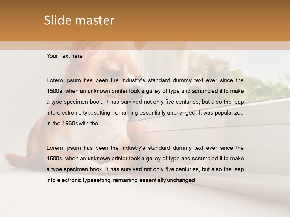 A Small Dog Is Looking Out Of A Window PowerPoint Template