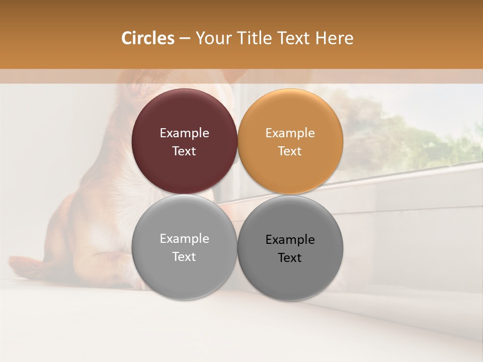 A Small Dog Is Looking Out Of A Window PowerPoint Template