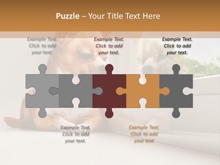 A Small Dog Is Looking Out Of A Window PowerPoint Template