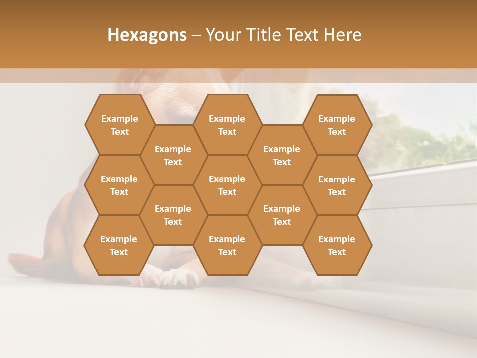 A Small Dog Is Looking Out Of A Window PowerPoint Template