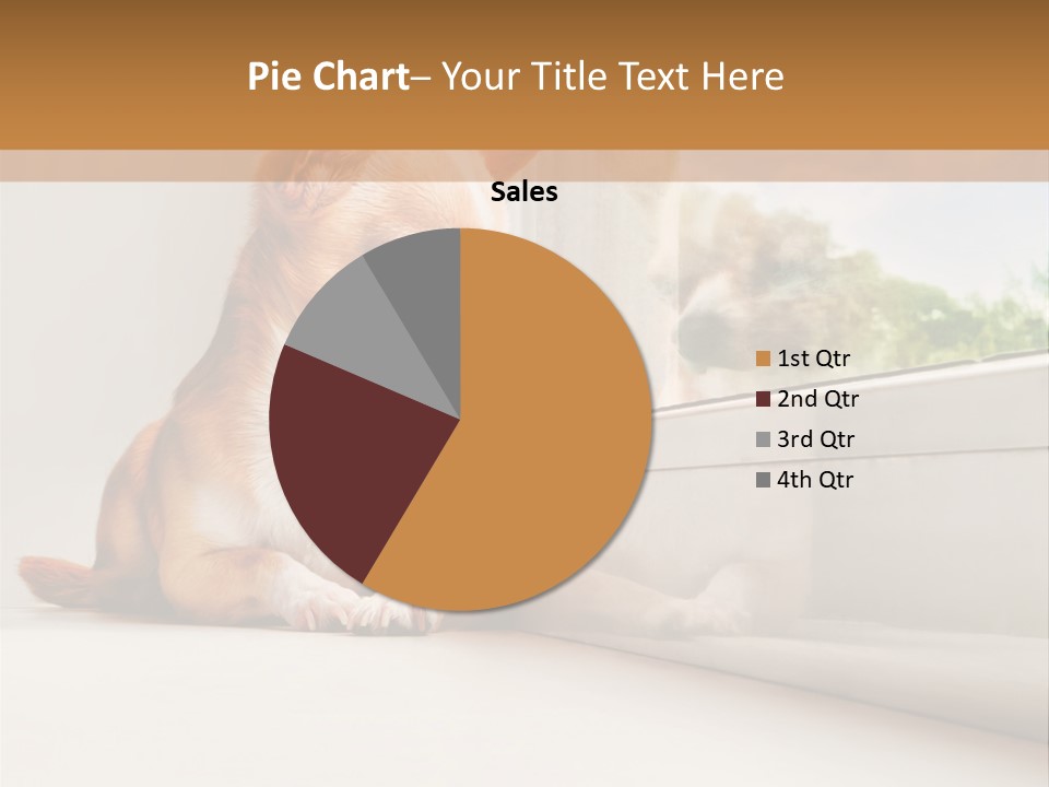 A Small Dog Is Looking Out Of A Window PowerPoint Template