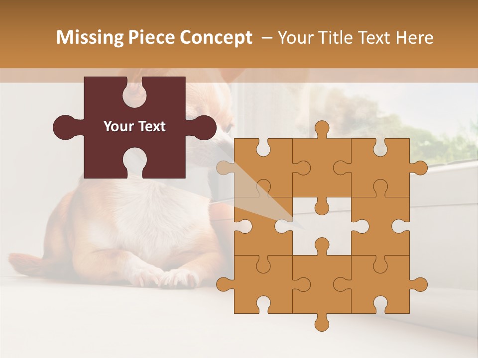 A Small Dog Is Looking Out Of A Window PowerPoint Template