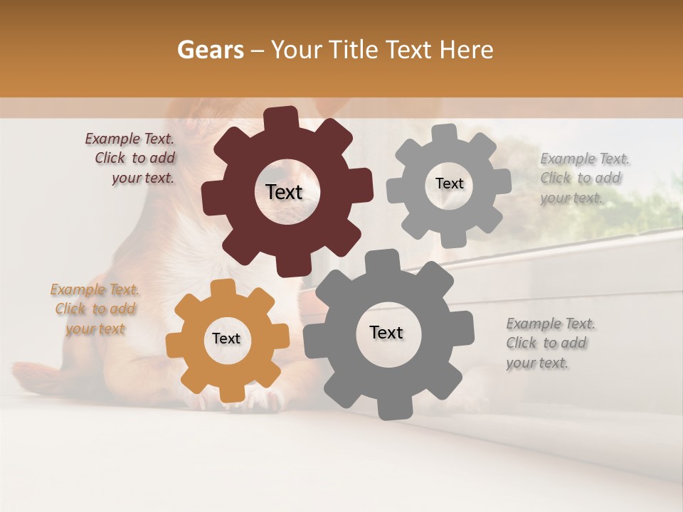 A Small Dog Is Looking Out Of A Window PowerPoint Template