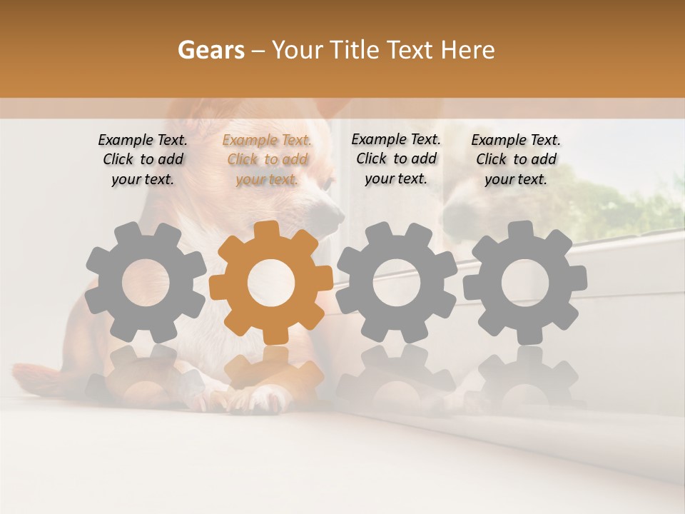 A Small Dog Is Looking Out Of A Window PowerPoint Template