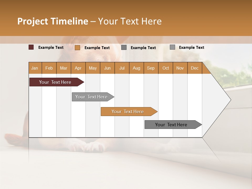 A Small Dog Is Looking Out Of A Window PowerPoint Template