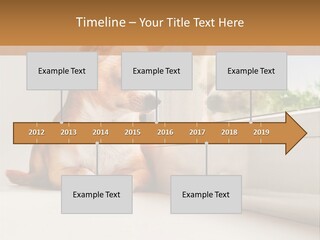 A Small Dog Is Looking Out Of A Window PowerPoint Template