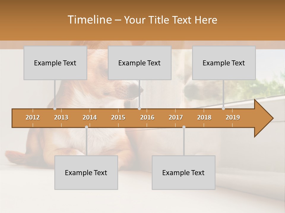 A Small Dog Is Looking Out Of A Window PowerPoint Template