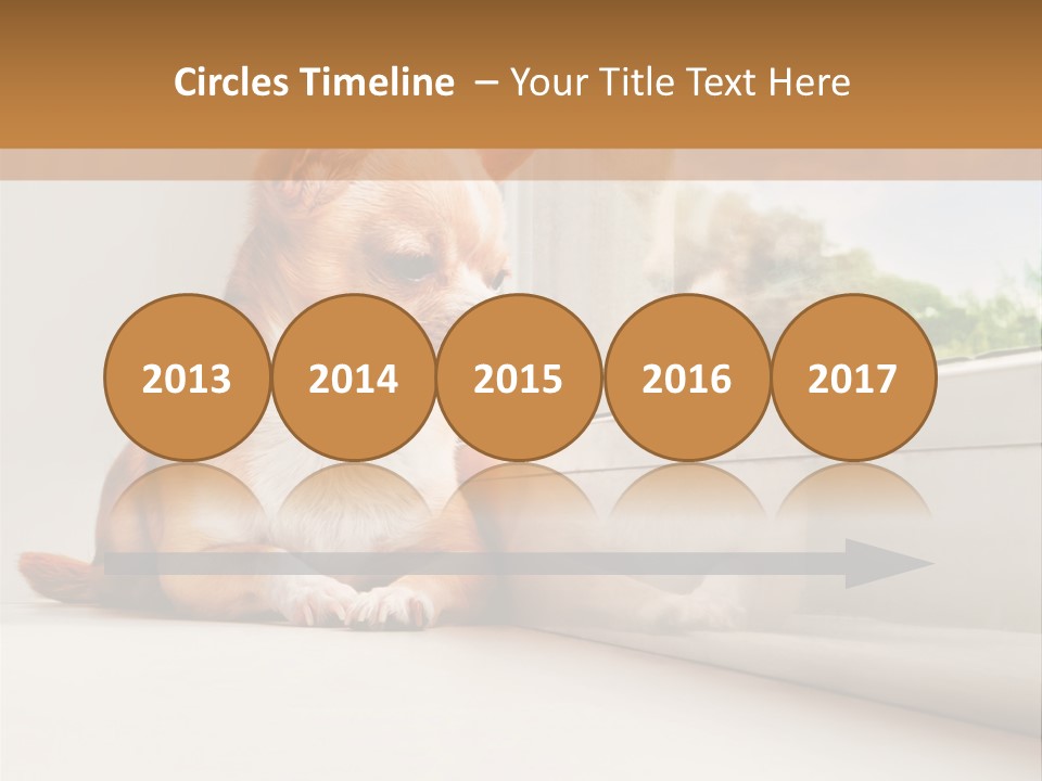 A Small Dog Is Looking Out Of A Window PowerPoint Template