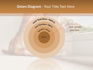 A Small Dog Is Looking Out Of A Window PowerPoint Template