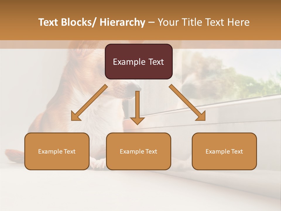 A Small Dog Is Looking Out Of A Window PowerPoint Template