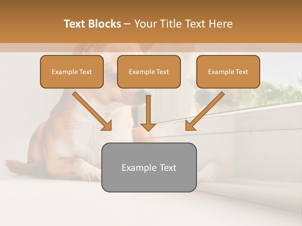 A Small Dog Is Looking Out Of A Window PowerPoint Template